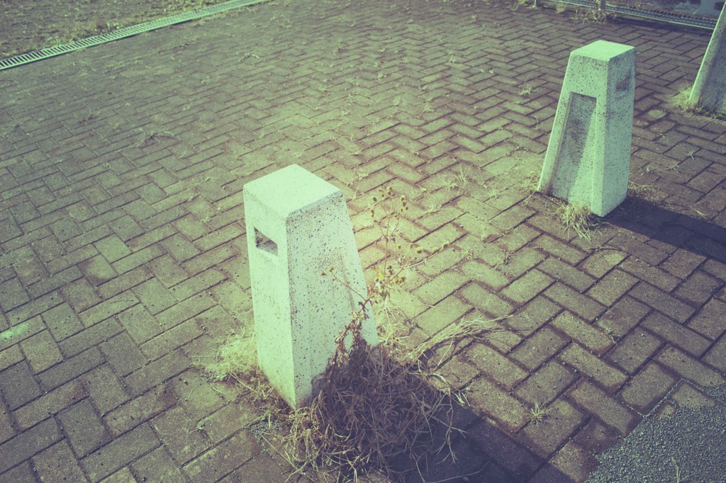 ちょっとだけ春。