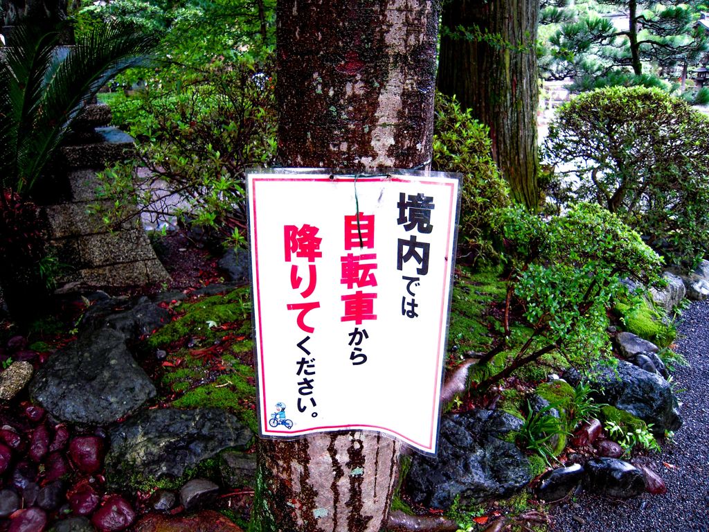 大井神社２１