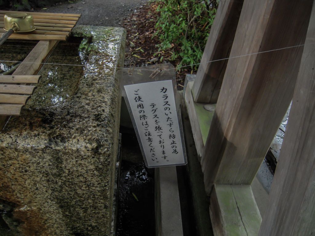 大井神社５