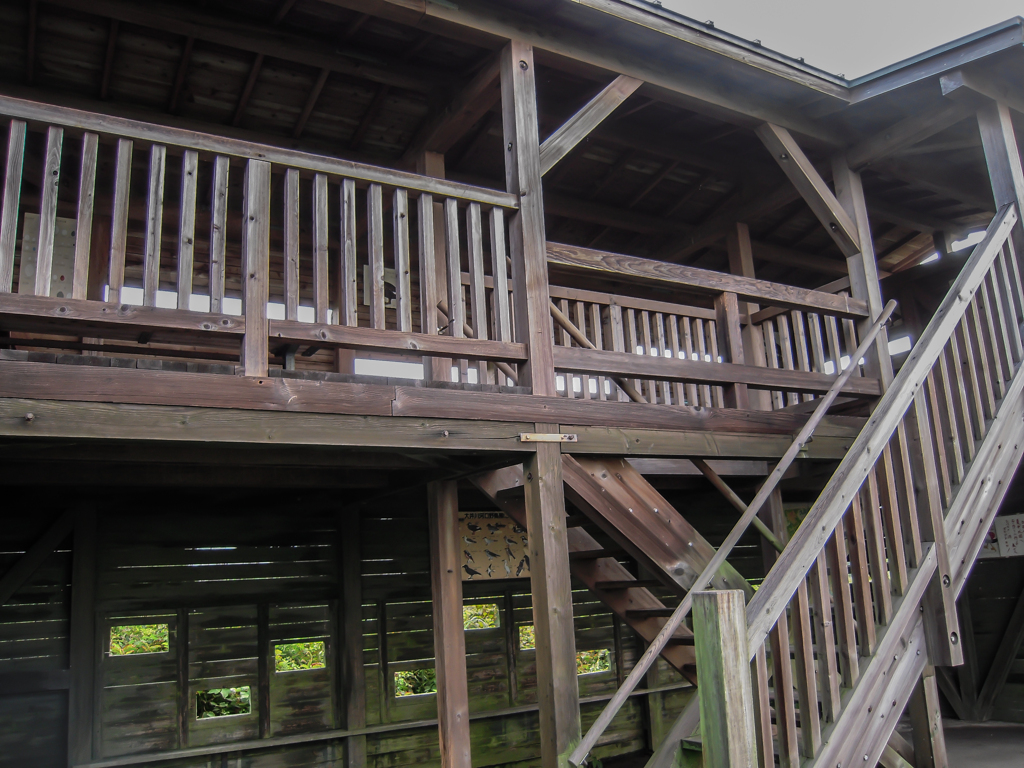 野鳥観察小屋３