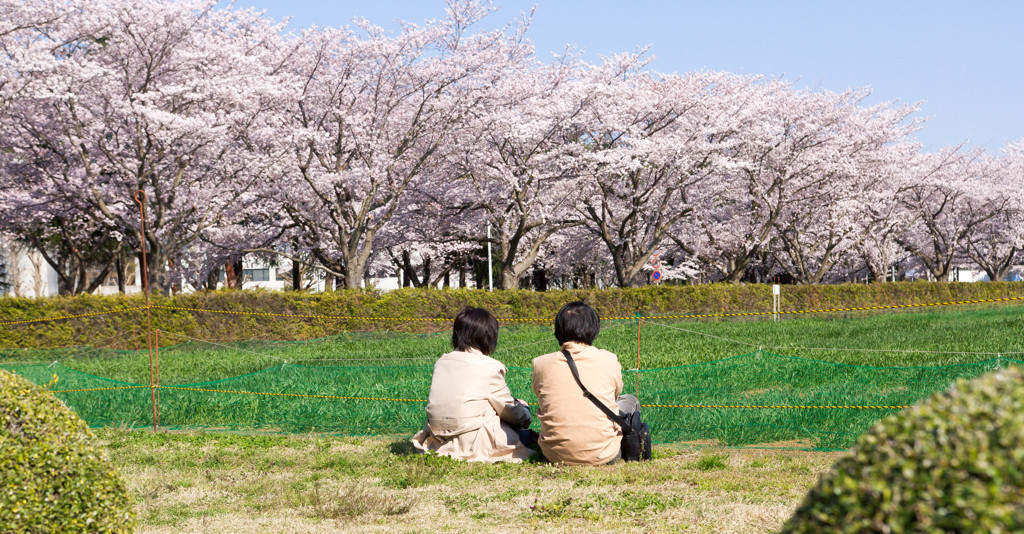 春のひと時