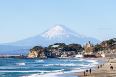 富士山を望む