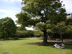 お昼のひと時