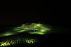 夜の丘へ