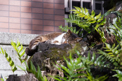 お気に入りの場所