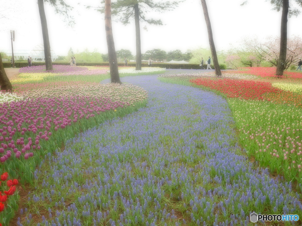 川の流れのように