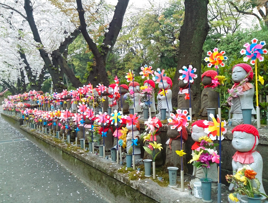 桜の下の静けさ