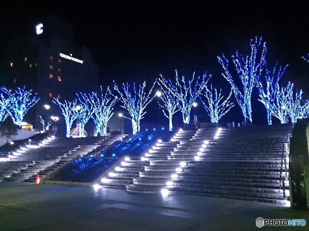 夜の木々たち