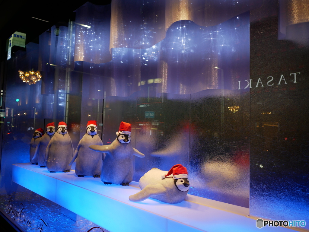 ペンギンもクリスマス