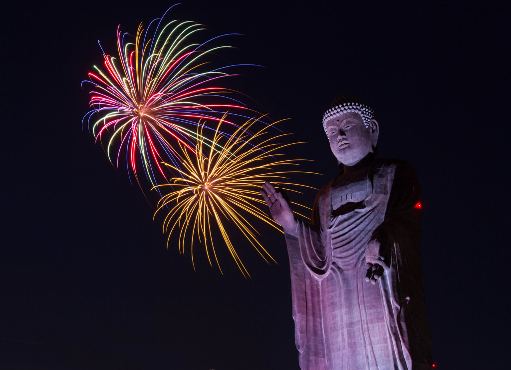 盆の夜に咲いた花