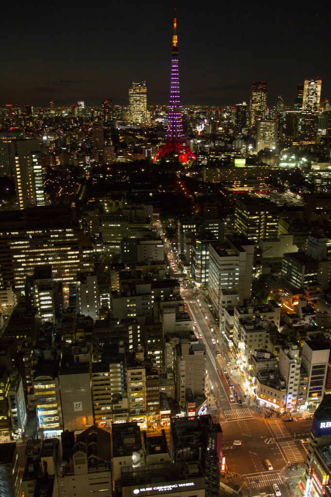 冬の夜にサクラサク