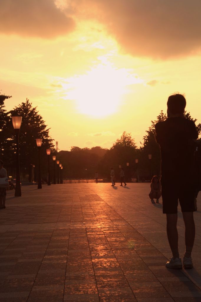 夕日を狙って