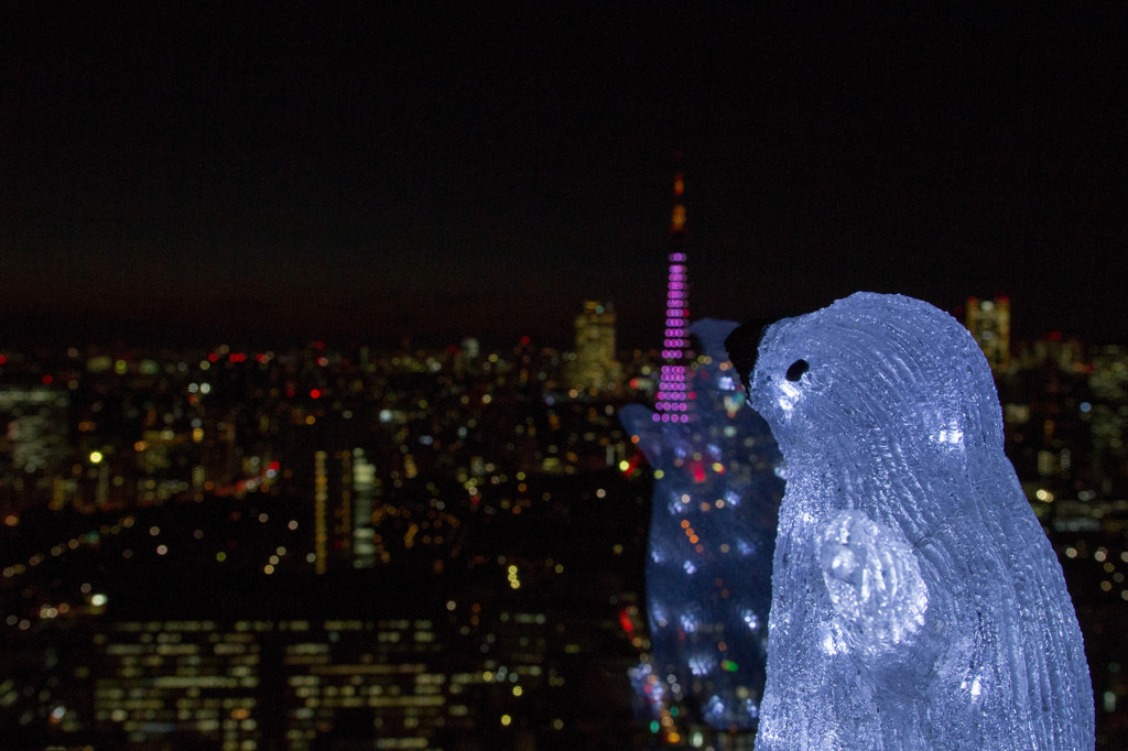 夜景を見つめて