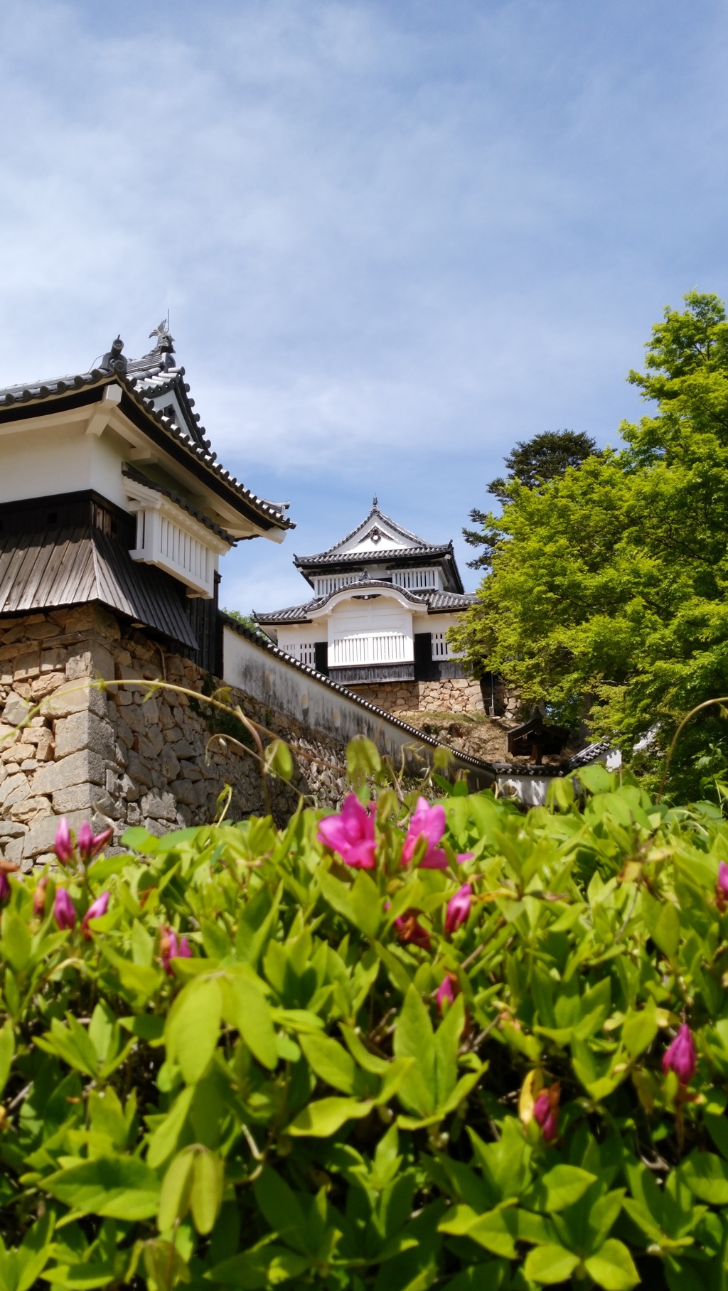 天空の城　備中松山城