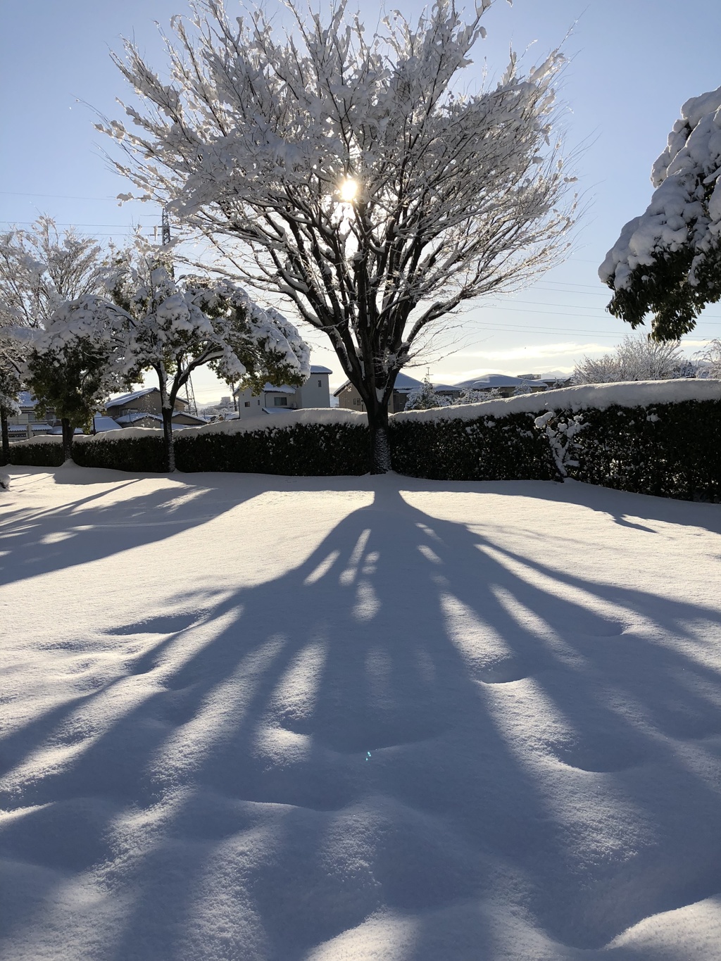 大雪後