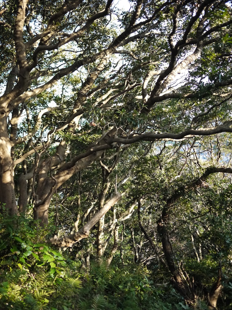 割り込み合い