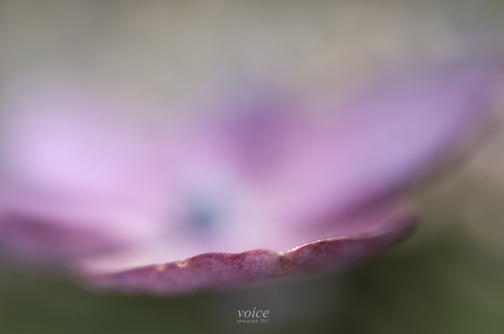 2013　水無月　02