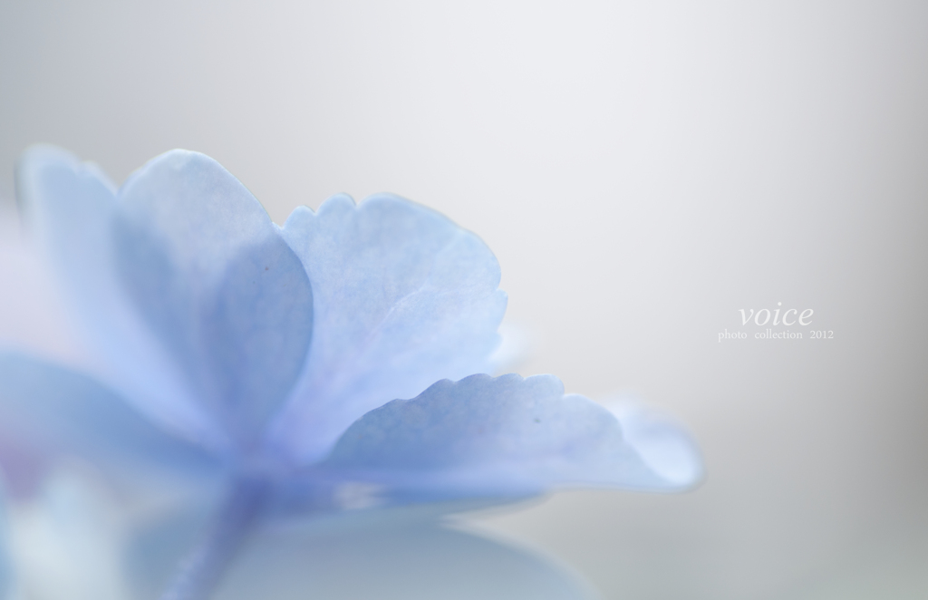 水無月8