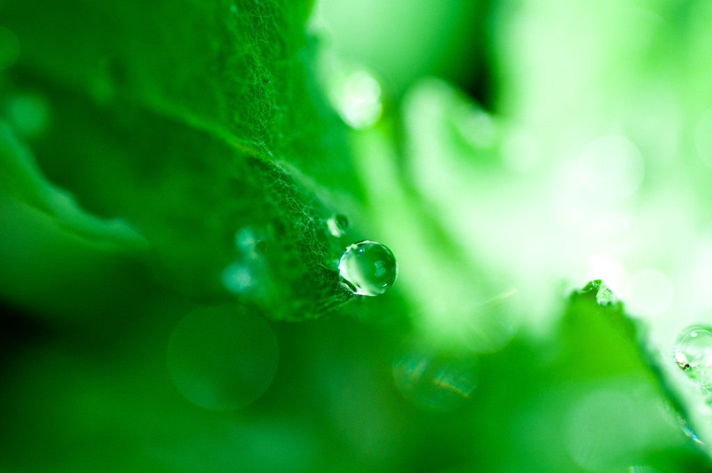 水滴