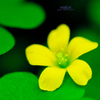 _DSC3863_edited-2-1