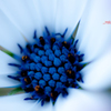 _DSC3967_edited-1