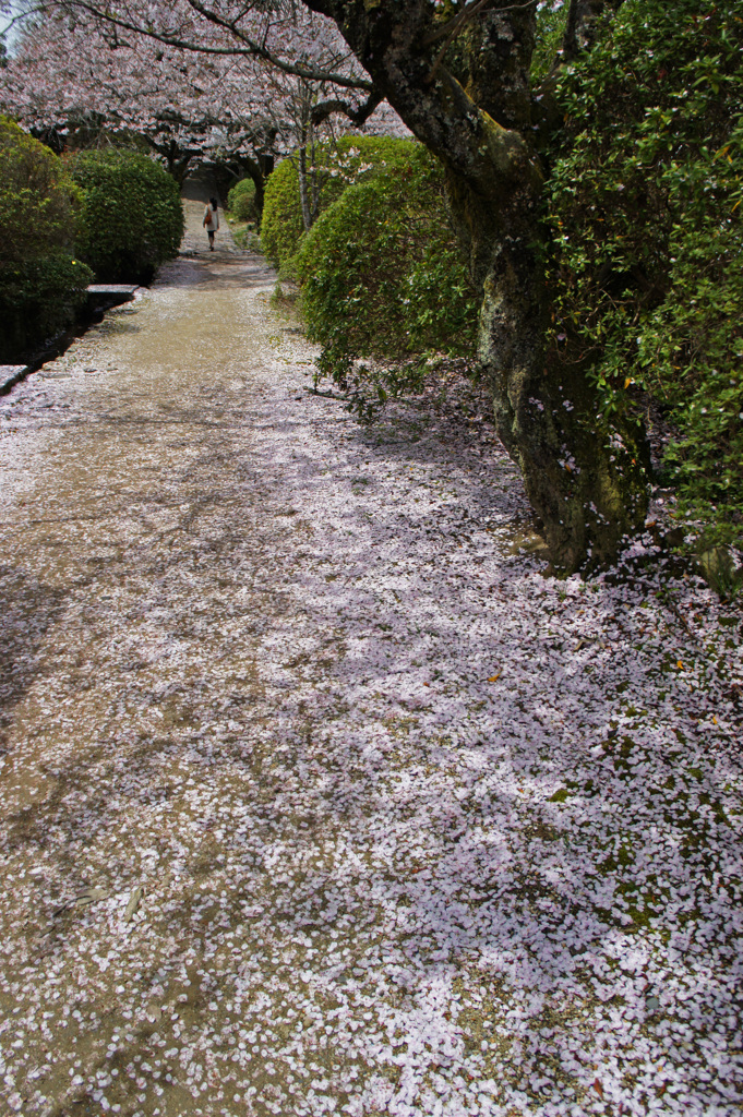 長岳寺・参道