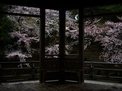 奈良公園・浮見堂