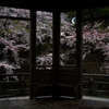 奈良公園・浮見堂