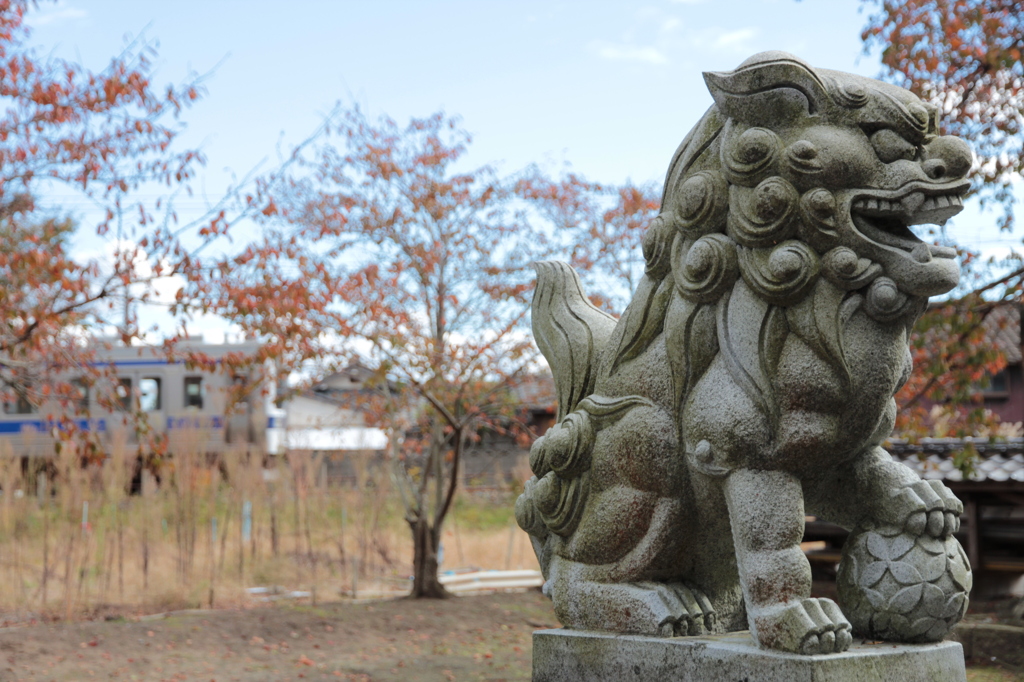 狛犬がいる風景