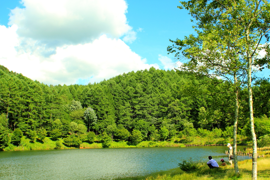 夏の水辺で
