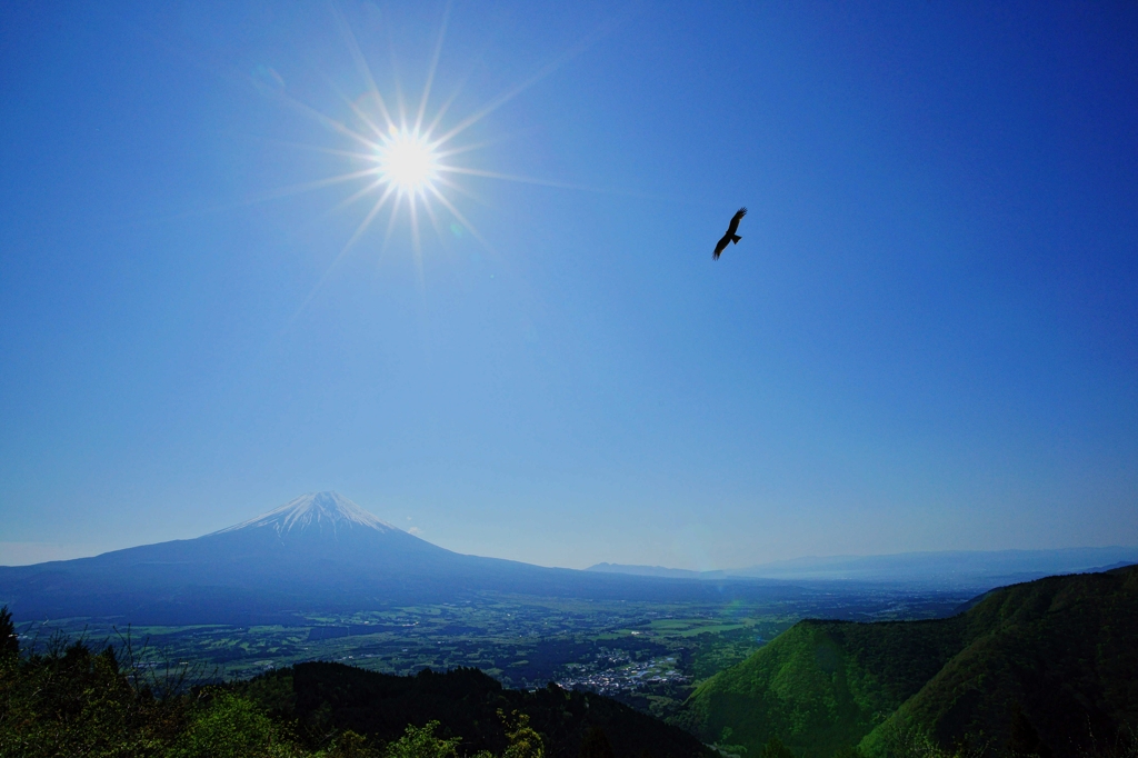 大空を舞う