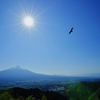 大空を舞う