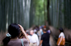 行列と竹林(嵯峨野）