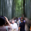 行列と竹林(嵯峨野）