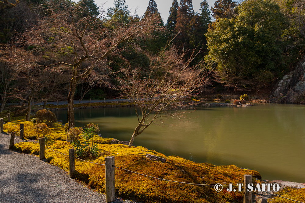 永保寺