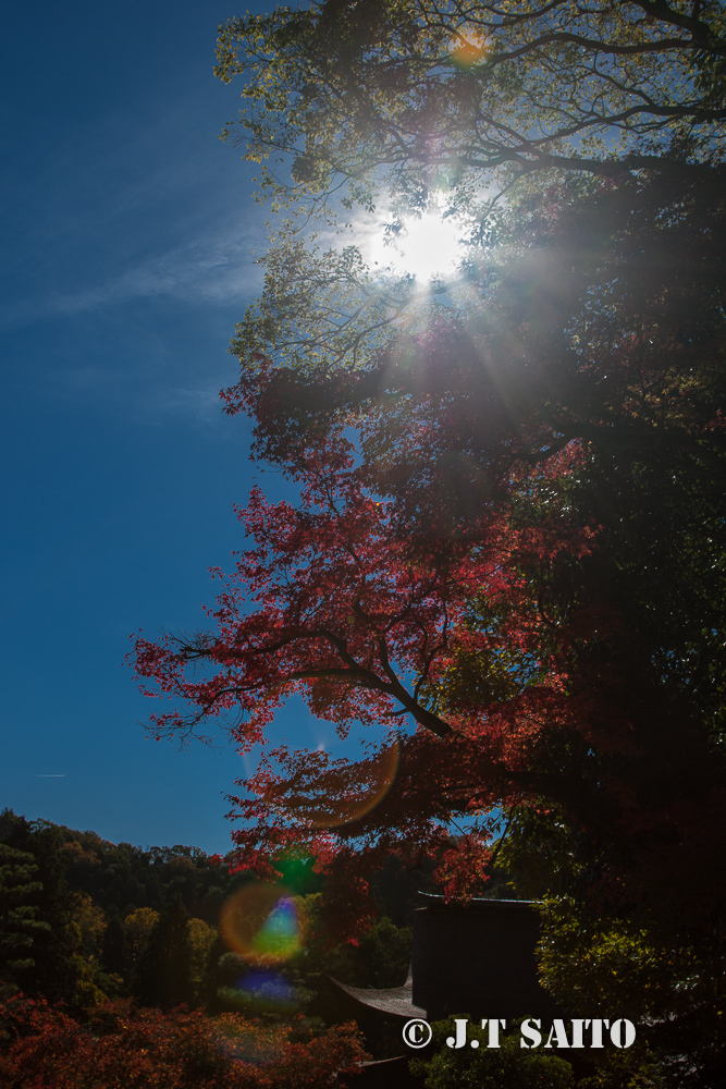 多治見市　永保寺