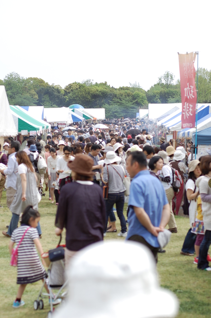 ロハスフェスタ会場