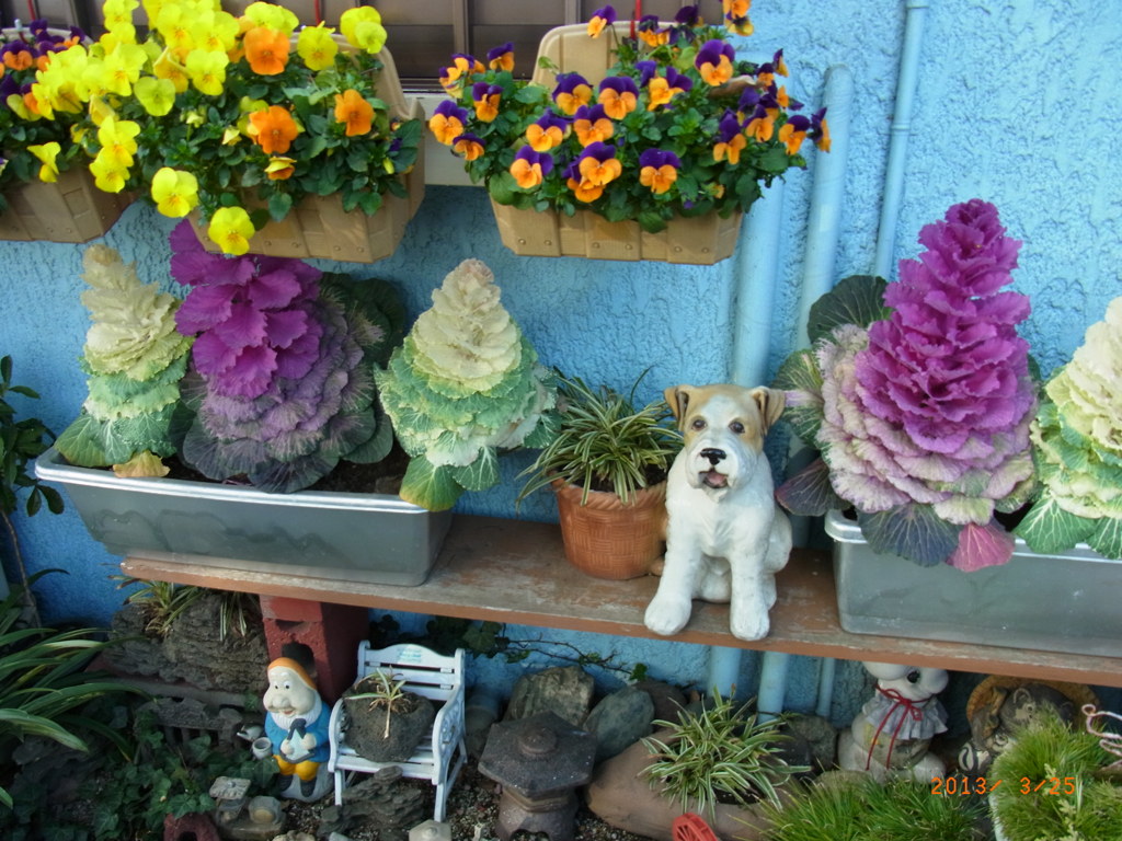 犬と花