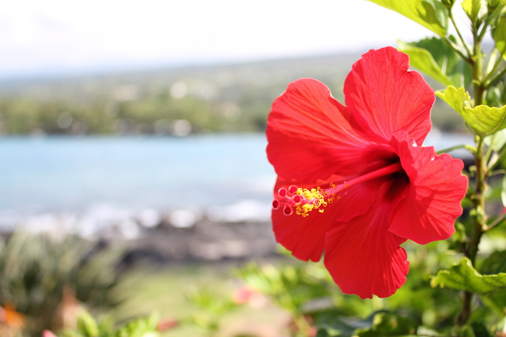 Hawaii
