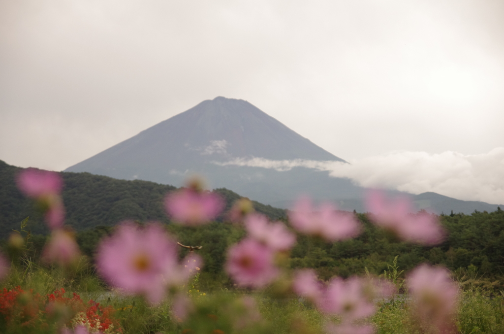 曇りの富士山
