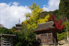 紅葉の清水寺