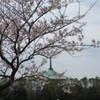 春の佛母寺