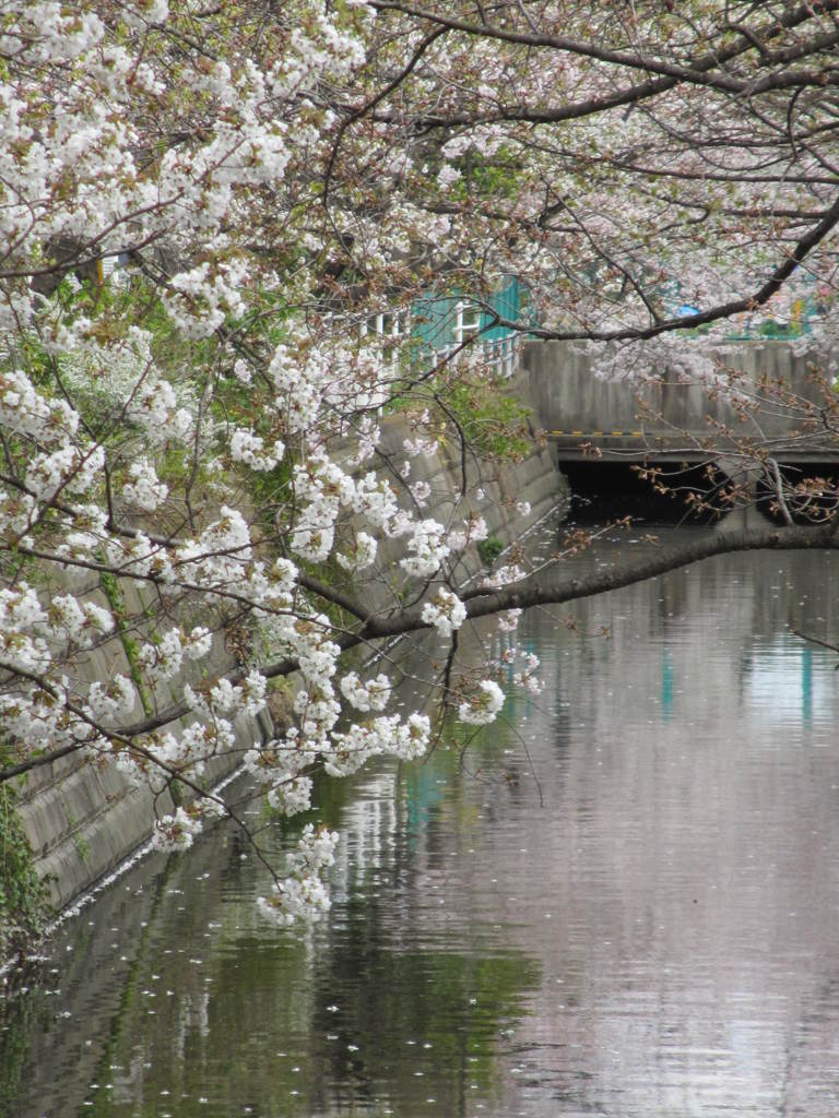 水面