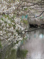 水面