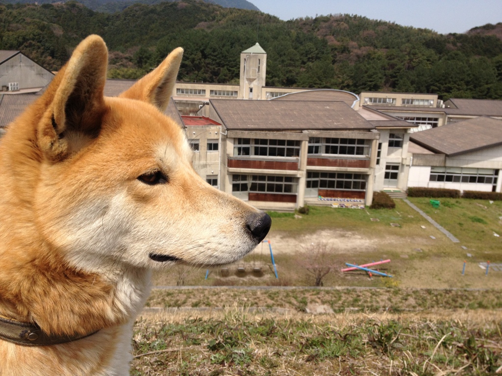 あなたといる、「いま」のぼこう
