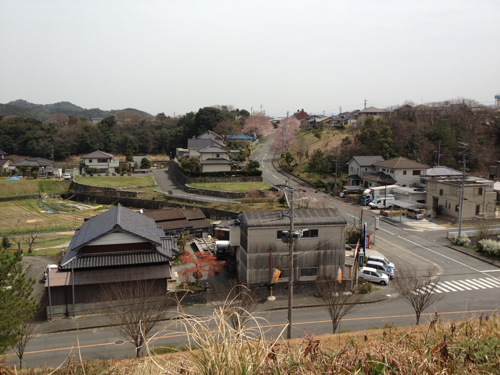 （削除用）