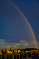 梅雨の晴れ間の贈り物