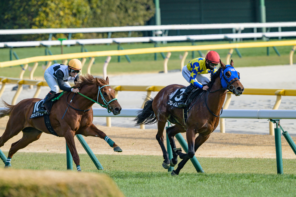 残り500～競馬2026#1～