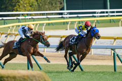 残り500～競馬2026#1～