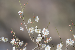 探鳥散歩の合間に